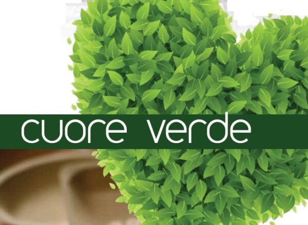 cuore-verde-891x480
